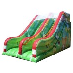 SLIDE FOREST MT. 3.2 X 5.4 X 2.7 IN (H)