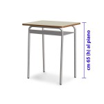 BANCO MONOPOSTO SENZA POGGIAPIEDE 65 CM. 70x50x65 (H) 1504